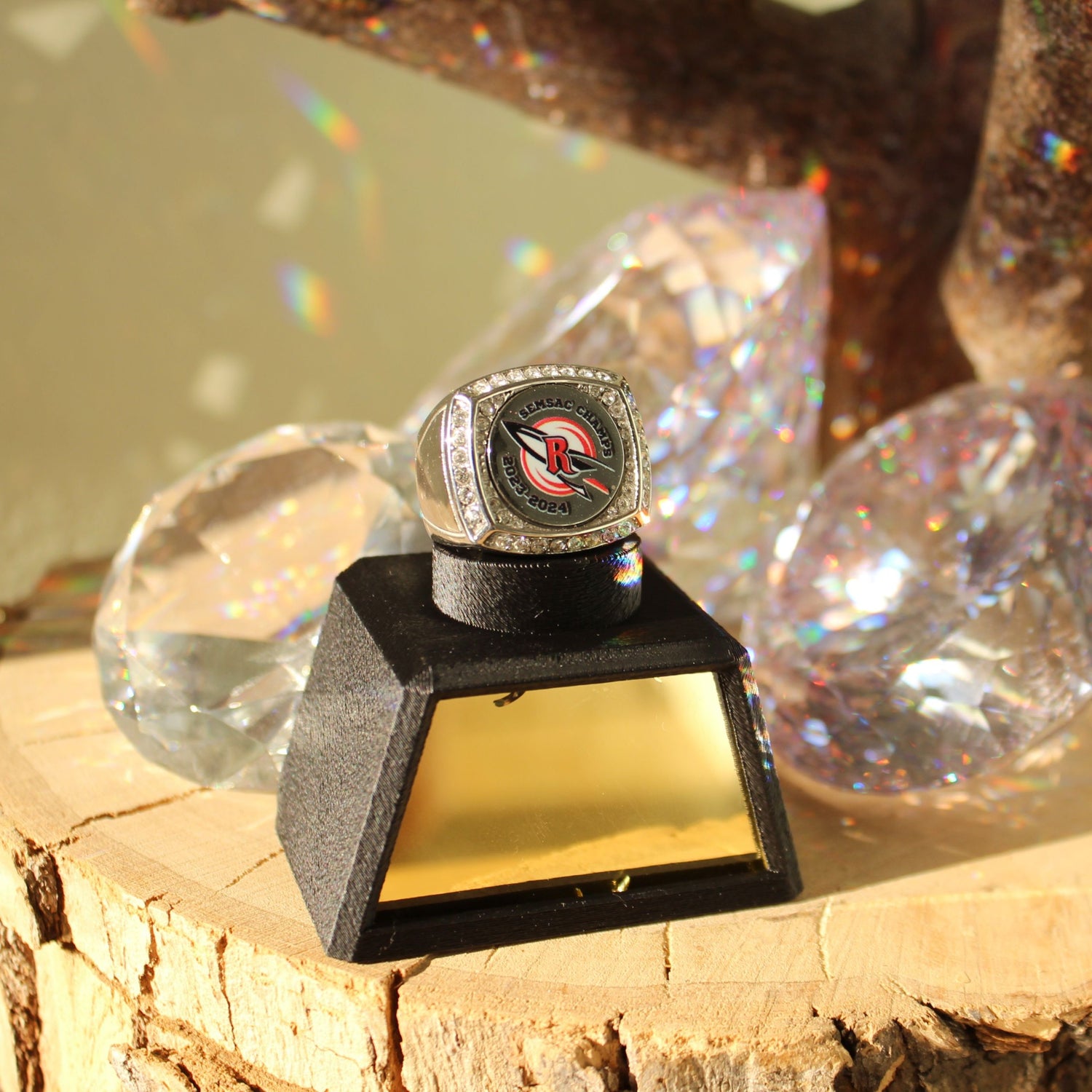 Blank Ring Display Stand