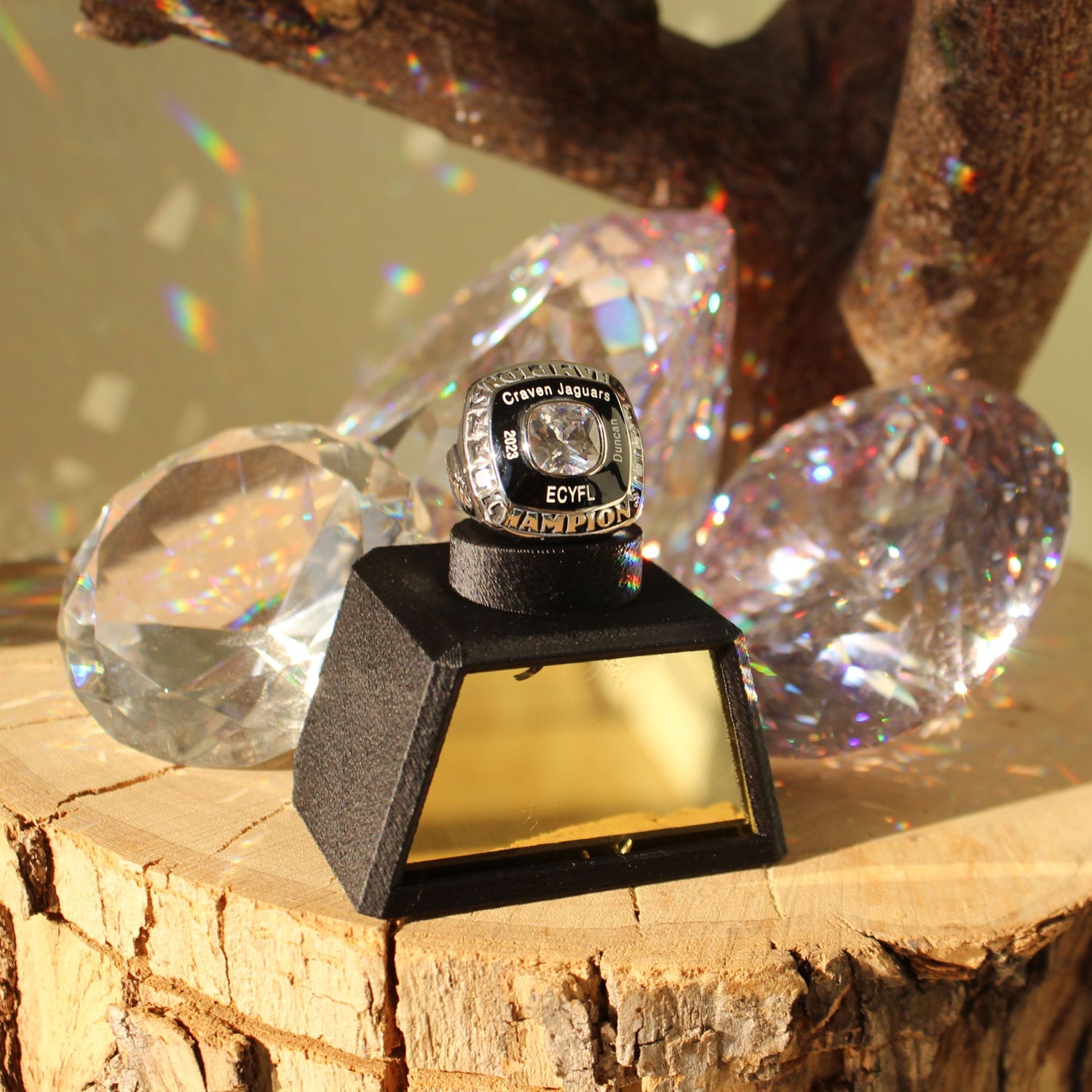 Blank Ring Display Stand