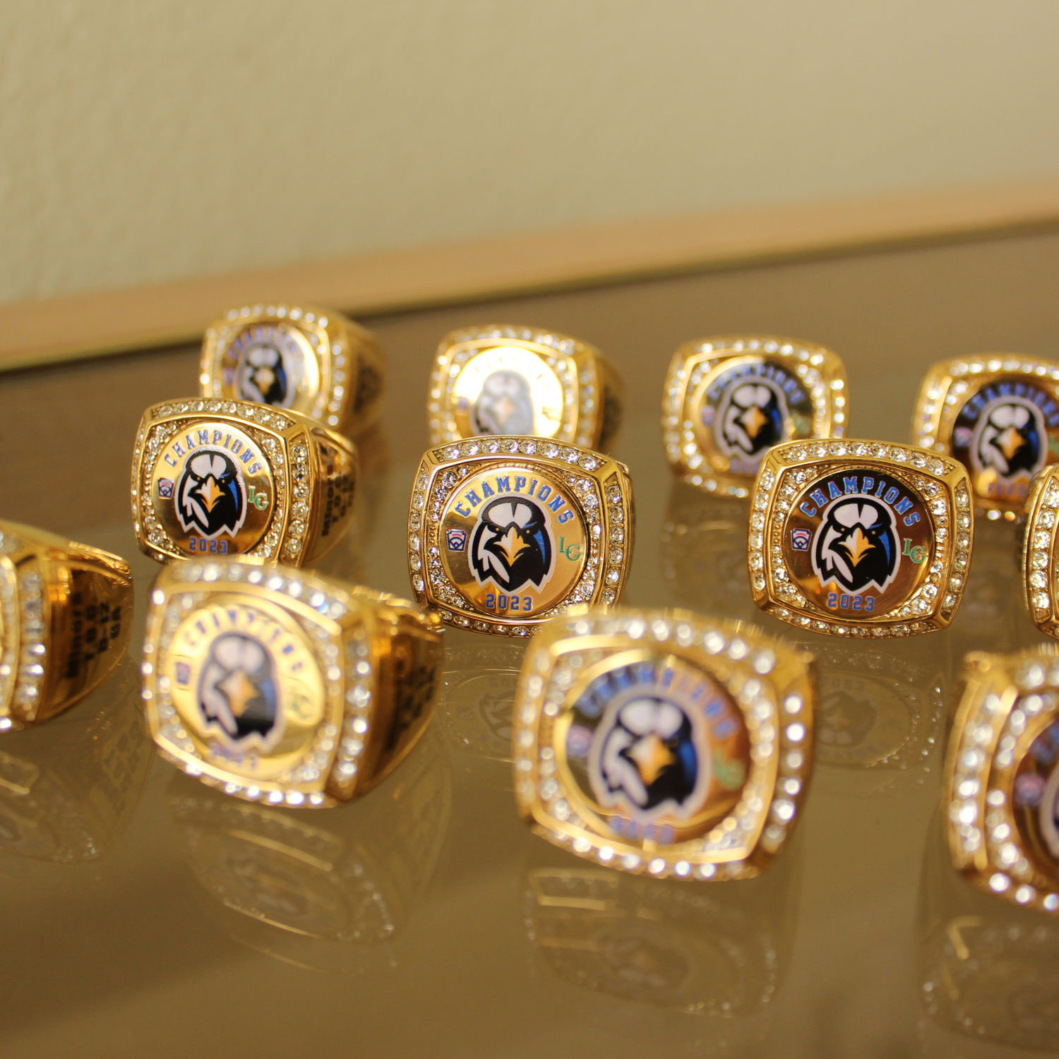 Premium Championship Ring - Use your own LOGO!