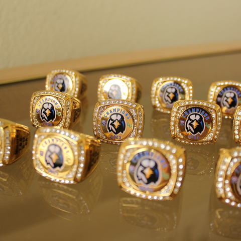 Pittsburgh Steelers Archives - Champions ring for sale!